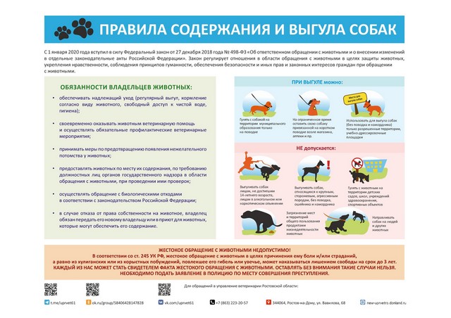 Памятка о правилах содержания и выгула домашних животных (собак, кошек)